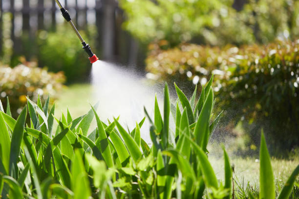 Void Injection for Cockroach Colonies in Irrigon