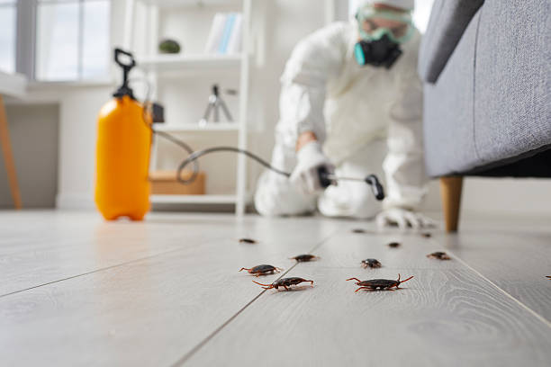 Commercial Kitchen Cockroach Control in Irrigon
